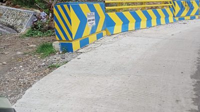 Rehabilitation of Roads and Bridges in Cipanas - Warung Banten Section